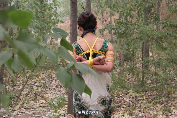 胜景山庄 - 275-山林绑着堵嘴狂跑 第 33 张图片