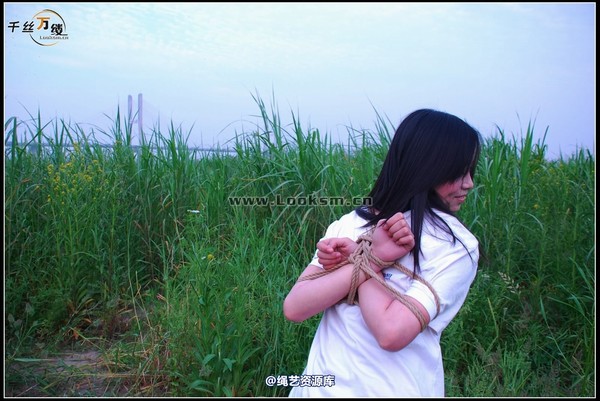 千丝万缕 - 2008-04-29-4日 第 91 张图片