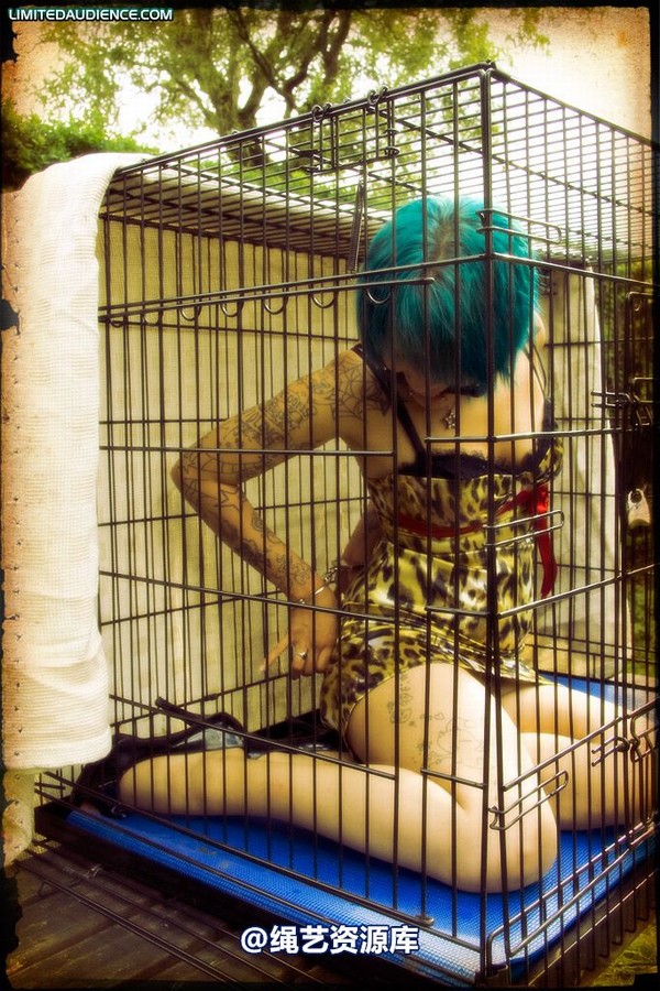limitedaudience - 2009 b caged animal 第 39 张图片
