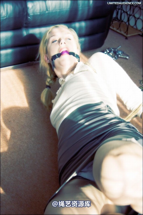 limitedaudience - 2008 ariel hogtied secretary 第 16 张图片