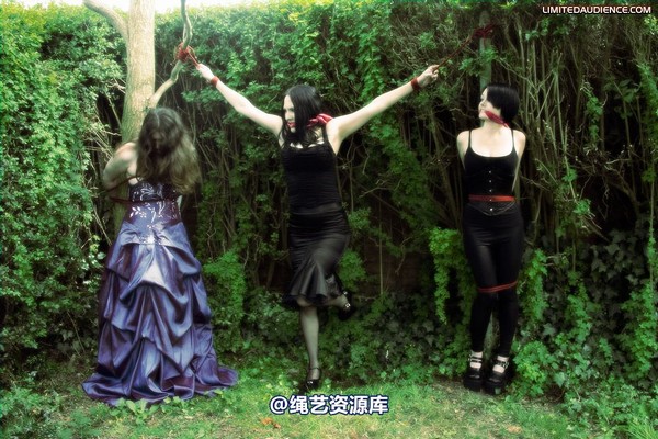 limitedaudience - 2009 catya elyssia lolly pleasure reserves 2 第 10 张图片
