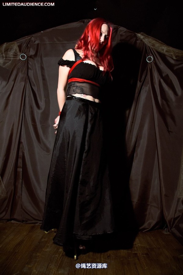 limitedaudience - 2010 elyssia bound to a pole 第 7 张图片