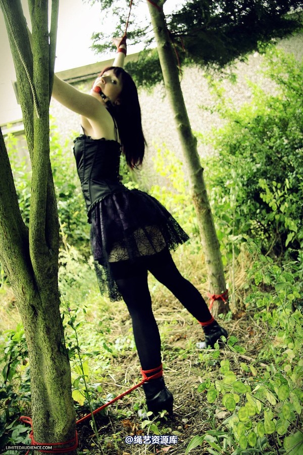 limitedaudience - 2013 syrah lee helpless outdoors 2 第 34 张图片
