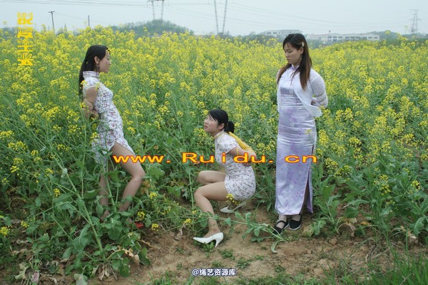 锐度主张 - 4月8日网友聚会室外篇1 第 68 张图片