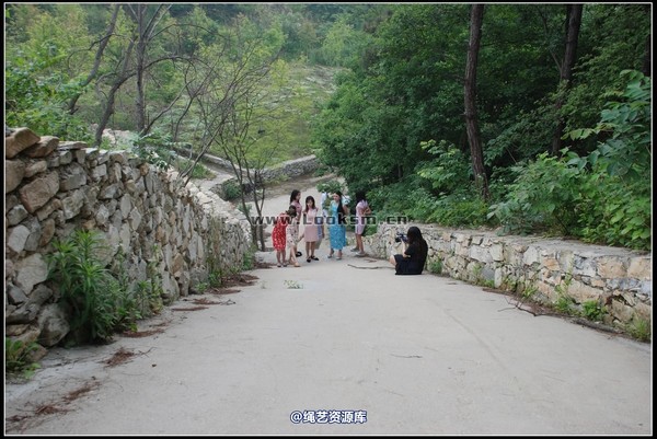 千丝万缕 - 2008-05-25日照片 第 51 张图片