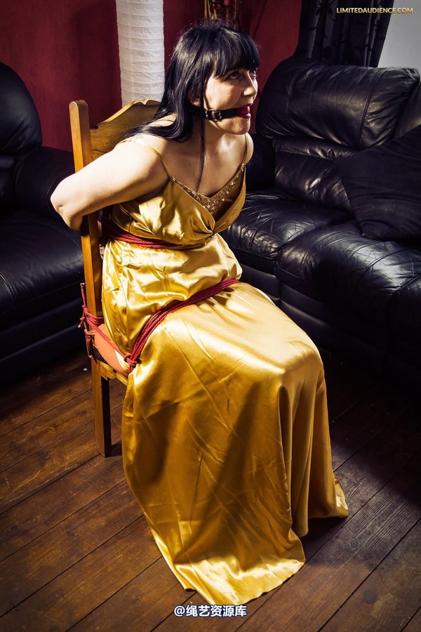 limitedaudience - 2013 dynamo golden satin 2 第 24 张图片