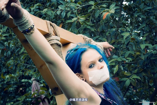 limitedaudience - 2014 beckykat crux suspension 2 第 16 张图片