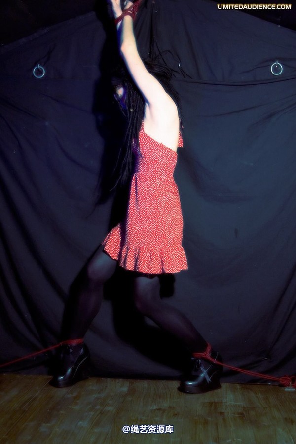 limitedaudience - 2009 lex eleven all alone 第 4 张图片