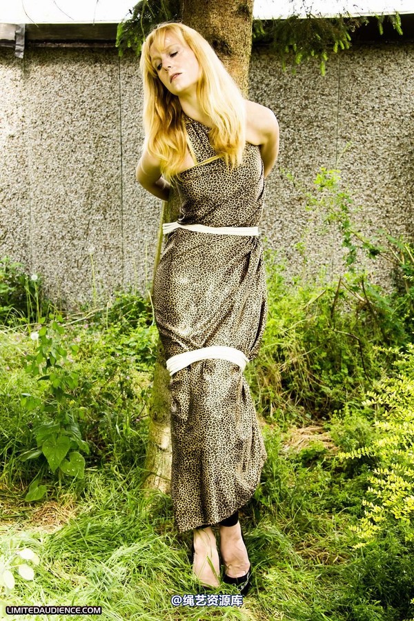 limitedaudience - 2011 ariel tied to a tree 第 27 张图片