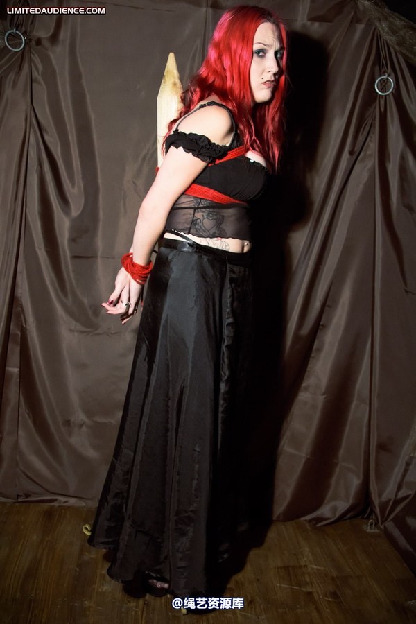 limitedaudience - 2011 elyssia bound to a pole 2 第 14 张图片