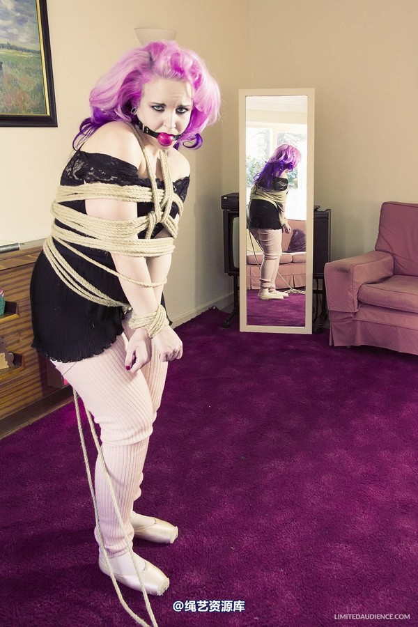 limitedaudience - 2013 assisted suicide interrupted ballet practice 第 33 张图片