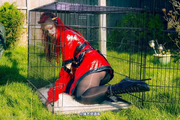 limitedaudience - 2015 raevan into the cage 第 6 张图片