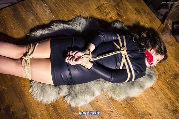limitedaudience - 2014 freya spy in trouble 第 6 张图片
