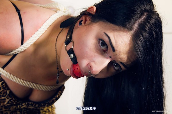 limitedaudience - 2014 stacey von strappado 第 24 张图片