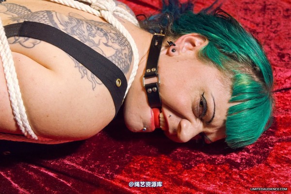 limitedaudience - 2012 raevan hogtied 2 第 4 张图片