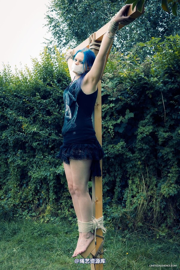 limitedaudience - 2013 beckykat crux suspension 第 3 张图片