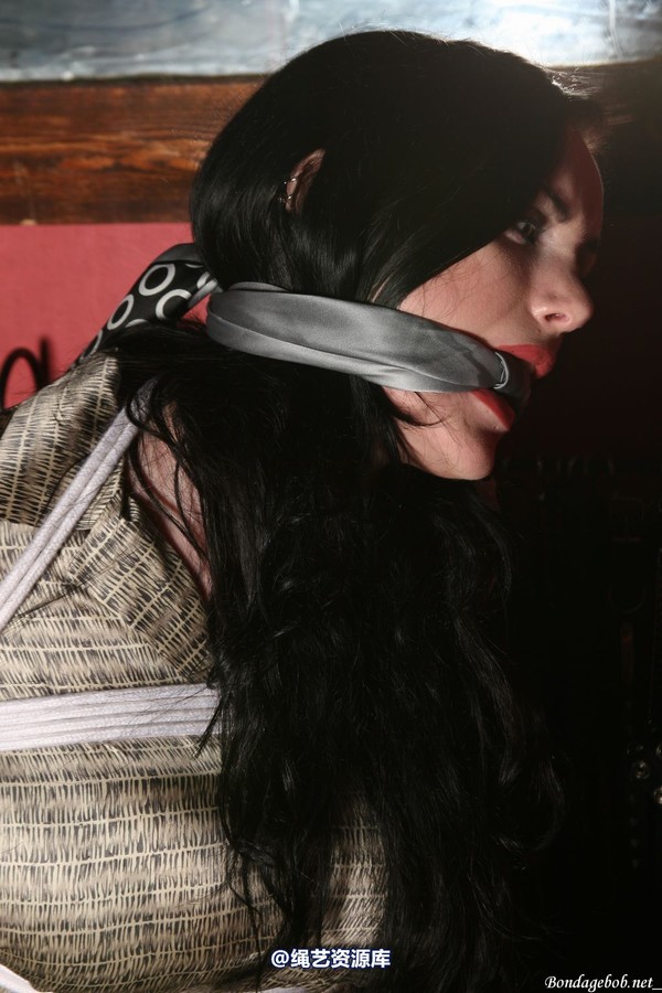 bondagebob - Morrigan take a seat 第 40 张图片