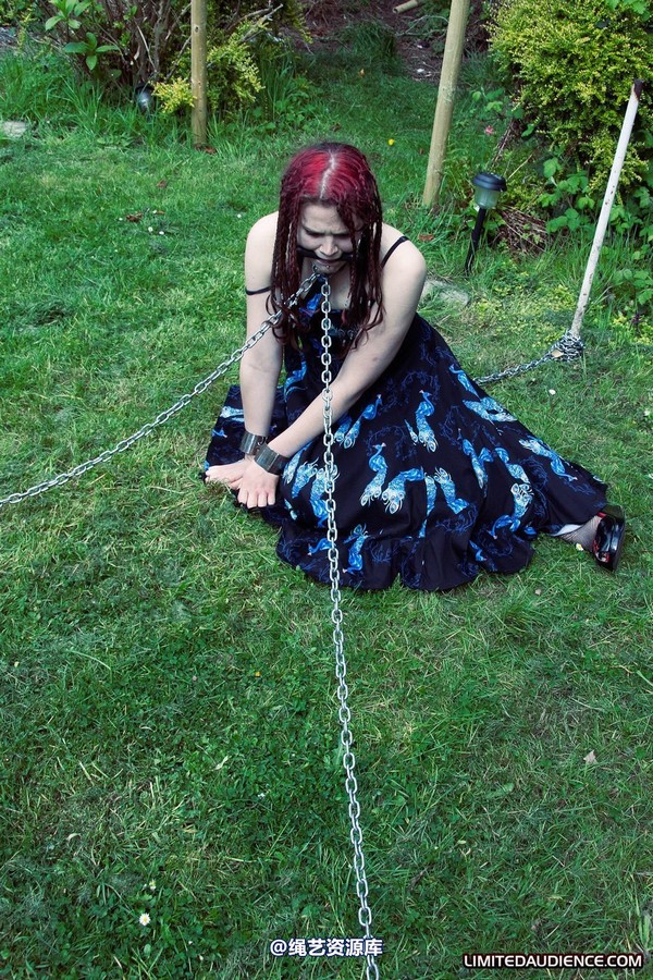 limitedaudience - 2011 beckykat chained and staked 2 第 15 张图片