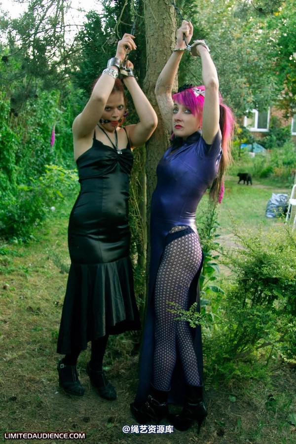 limitedaudience - 2011 beckykat loltaru chained tree seesaw 2 第 5 张图片