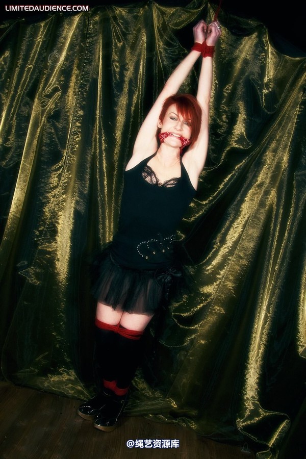 limitedaudience - 2011 madison rouge dangling helplessly 2 第 17 张图片