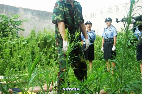 mj影视 - 血的代价执行刑场 第 20 张图片