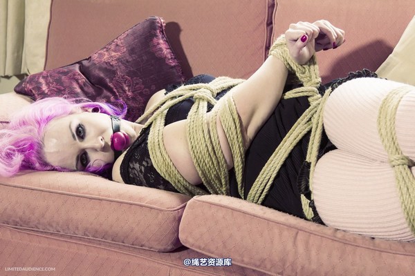 limitedaudience - 2013 assisted suicide interrupted ballet practice 第 34 张图片