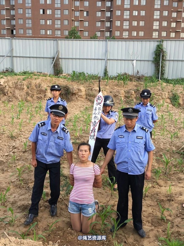 mj影视 - 贩毒女孩紫琪 第 75 张图片
