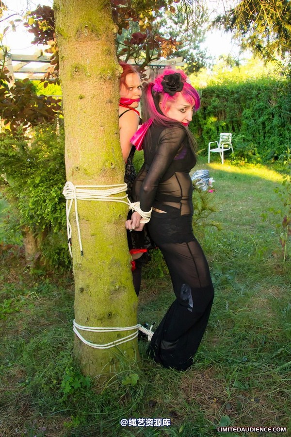 limitedaudience - 2011 beckykat loltaru moored to tree 第 21 张图片