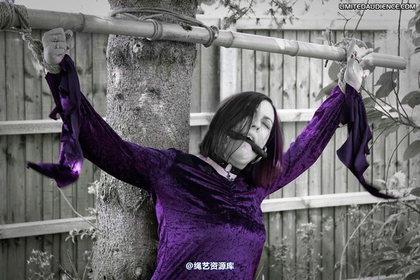 limitedaudience - 2010 carmina unwilling offering 第 15 张图片