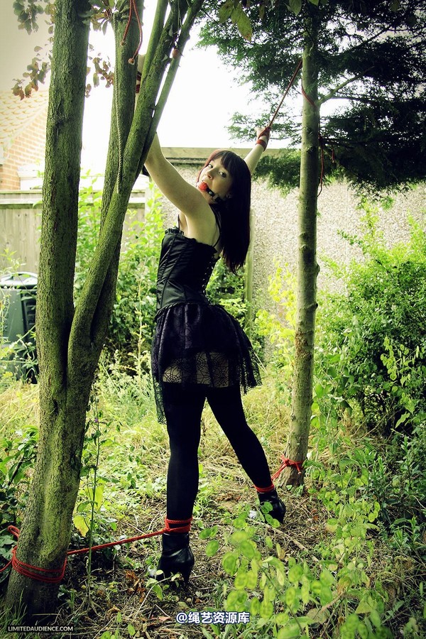 limitedaudience - 2013 syrah lee helpless outdoors 2 第 5 张图片