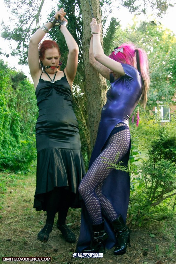 limitedaudience - 2011 beckykat loltaru chained tree seesaw 2 第 17 张图片