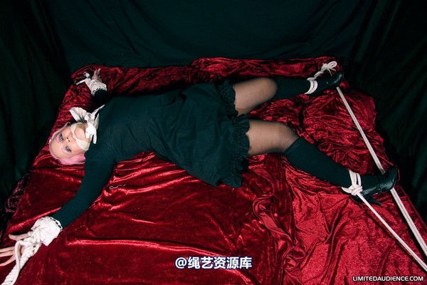 limitedaudience - 2009 assisted suicide internet date 第 8 张图片