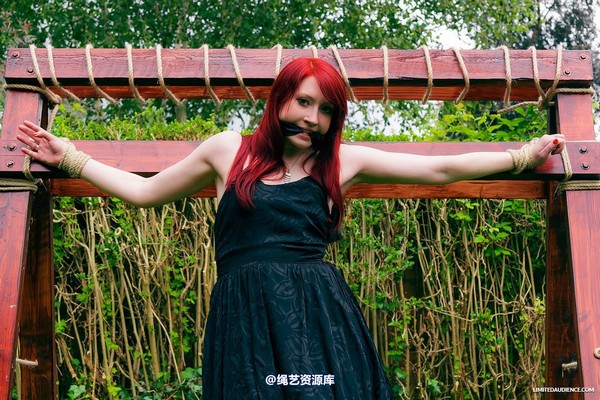 limitedaudience - 2013 syrah lee experiencing the cross 第 5 张图片