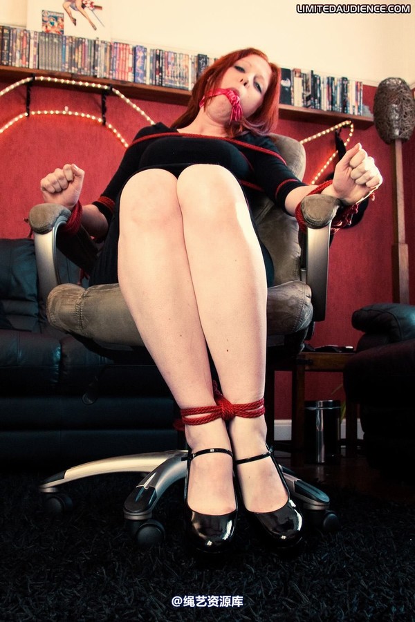 limitedaudience - 2010 lex eleven chairbound secretary 第 4 张图片