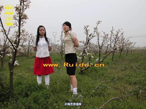锐度主张 - 婷婷和寒冰梨花林中 第 2 张图片