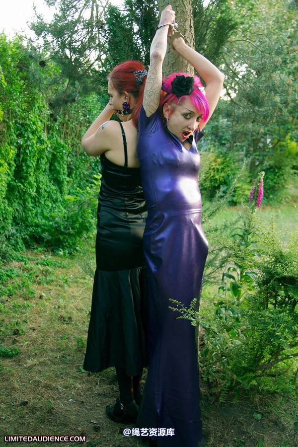 limitedaudience - 2011 beckykat loltaru chained tree seesaw 2 第 24 张图片