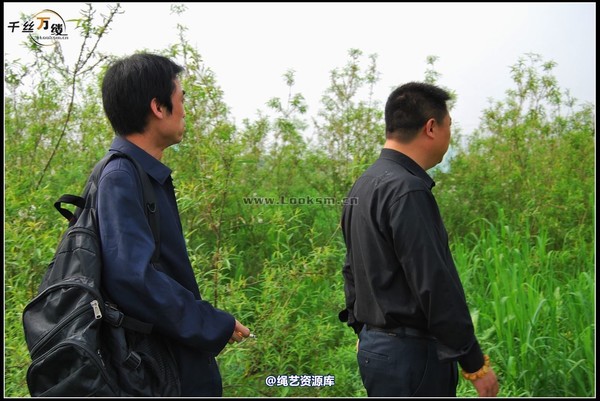 千丝万缕 - 2008-04-06日照片 第 28 张图片