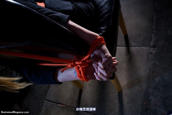 restrainedelegance - You WILL tell us, Miss Price 第 40 张图片