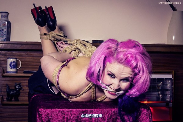 limitedaudience - 2013 assisted suicide hogtie centre piece 2 第 30 张图片