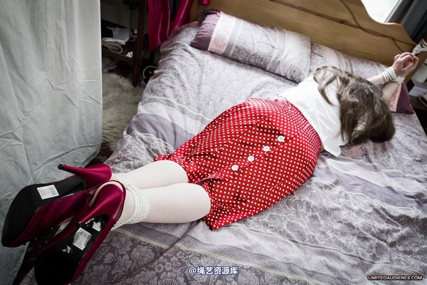 limitedaudience - 2012 catya bound secretary 第 13 张图片