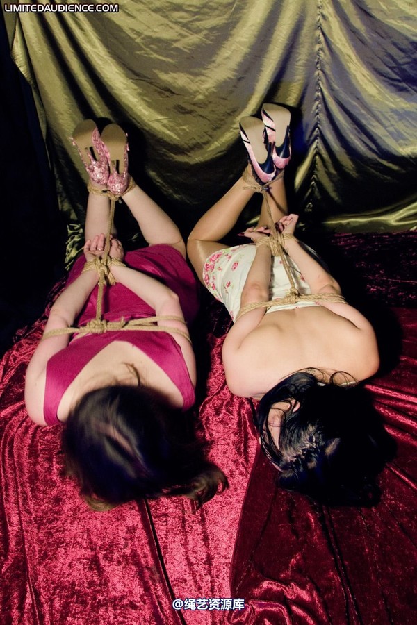 limitedaudience - 2010 catya elyssia hogtied 第 31 张图片