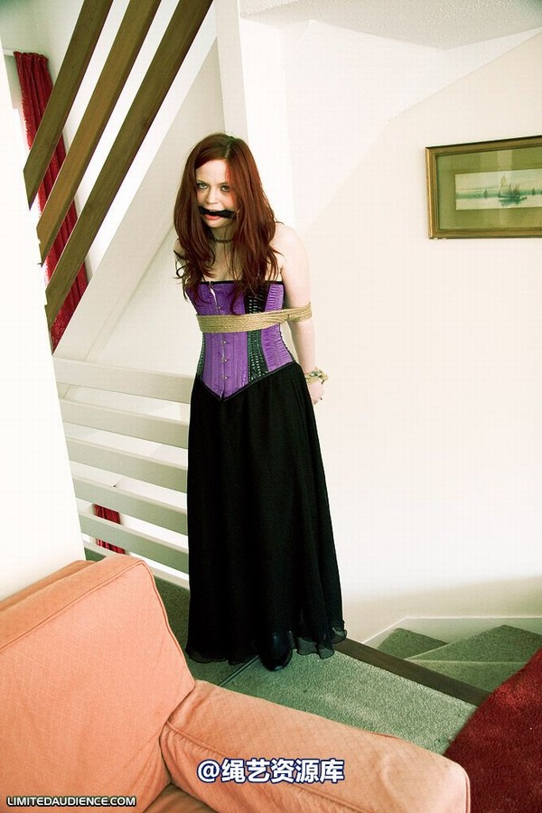limitedaudience - 2009 brede the party slave two part 2 第 32 张图片