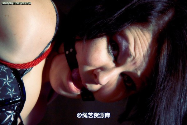 limitedaudience - 2009 deception a painful wait 第 24 张图片