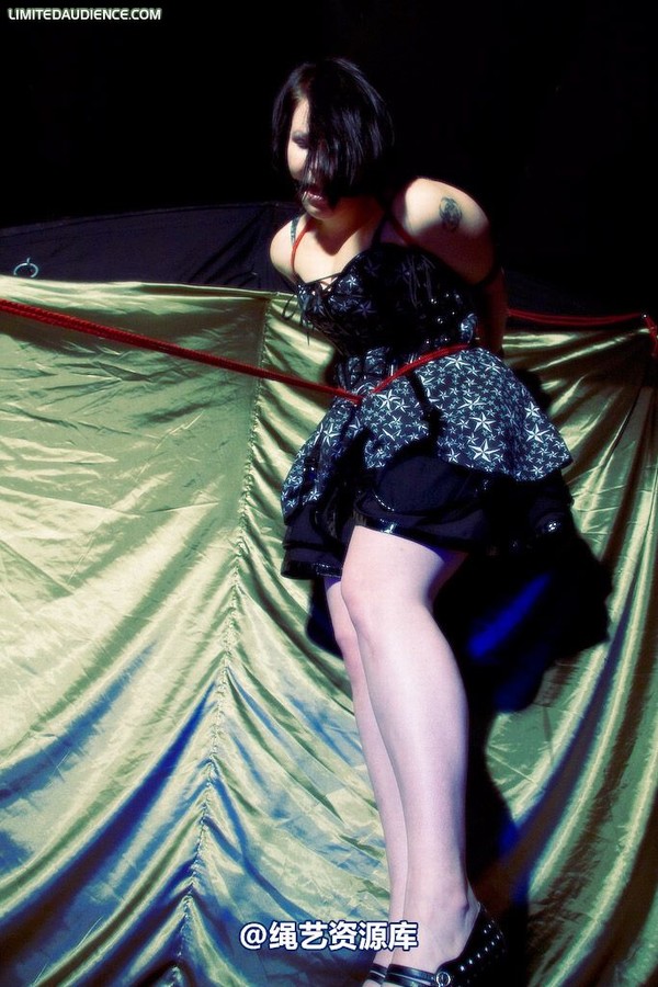 limitedaudience - 2009 deception a painful wait 第 30 张图片