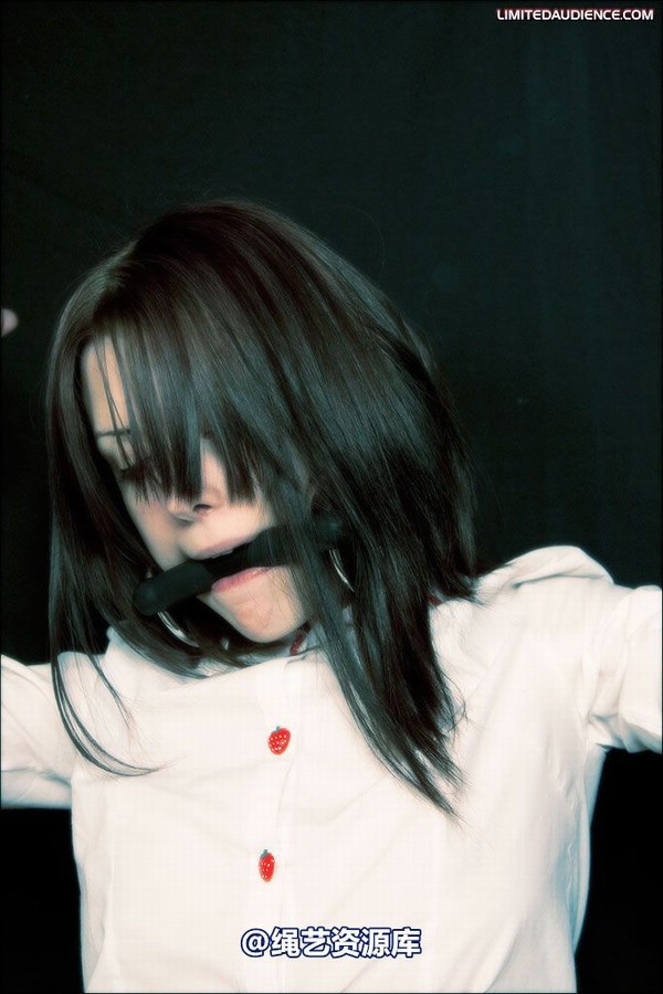 limitedaudience - 2008 blossom blois disciples of hoissy 2 第 22 张图片