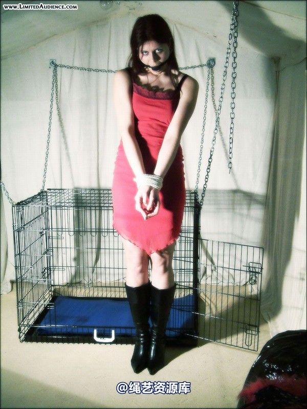 limitedaudience - 2007 scarlett tied and caged 第 5 张图片