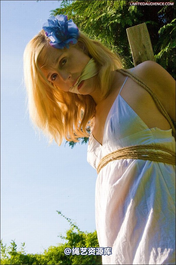 limitedaudience - 2008 ariel tied in the sun 第 2 张图片