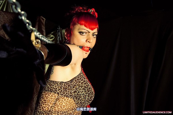 limitedaudience - 2010 raevan captured huntress 2 第 2 张图片