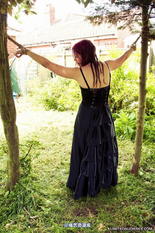 limitedaudience - 2011 beckykat between trees 2 第 2 张图片