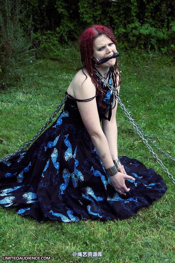 limitedaudience - 2010 beckykat chained and staked 第 29 张图片